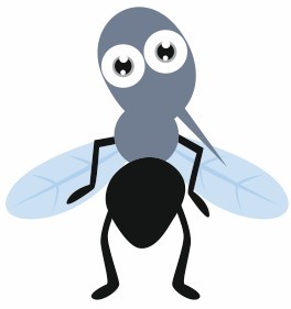 Sticker Insectes Pour La Chambre De Votre Enfant