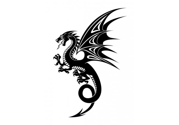 https://www.le-monde-du-stickers.fr/11325-large_default/sticker-dragon-noir.jpg