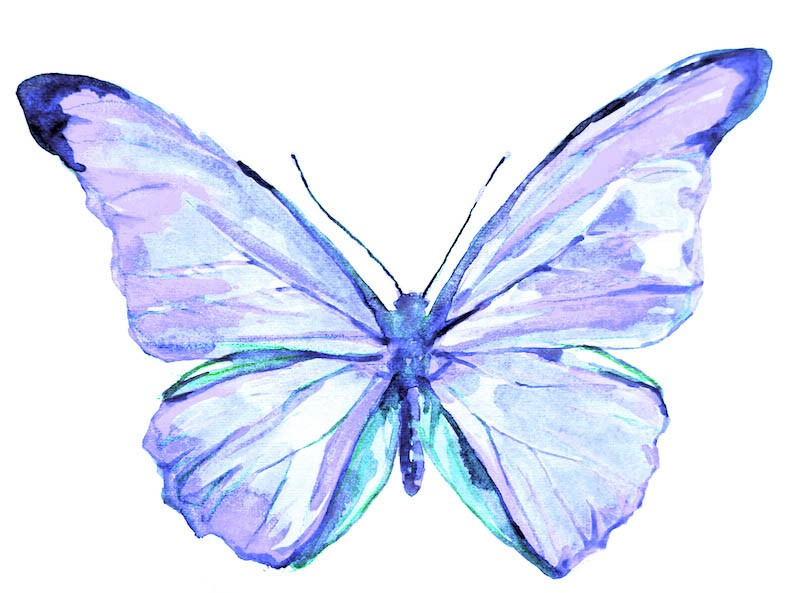 Sticker deco papillon bleu