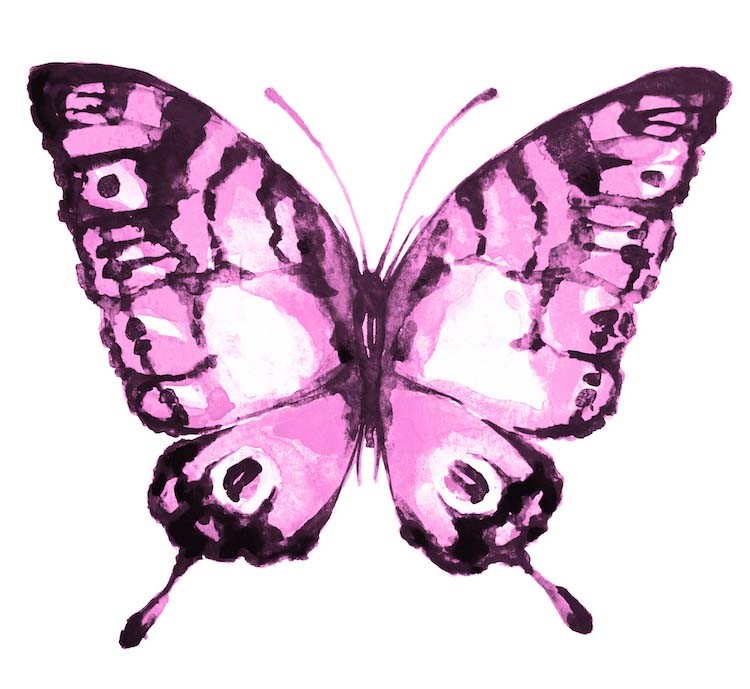 Stickers papillon rose