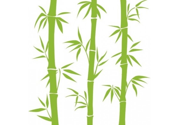Stickers bambou : un effet bambou vert géant très surprenant