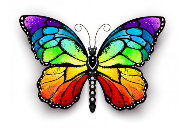 Papillon fille arc-en-ciel fleurs fantaisie Sticker Mural décalcomanie  impression Art enfants chambre décor DS1 -  France
