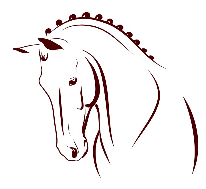 Stickers déco chevaux