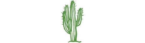 decalmile Stickers Muraux Cactus Vertes Autocollant Mural Chat